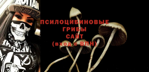 ешки Волоколамск
