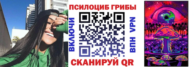 Купить  Норильск  Псилоцибиновые грибы Cubensis 