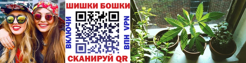 Бошки марихуана марихуана  Купить где  Норильск 